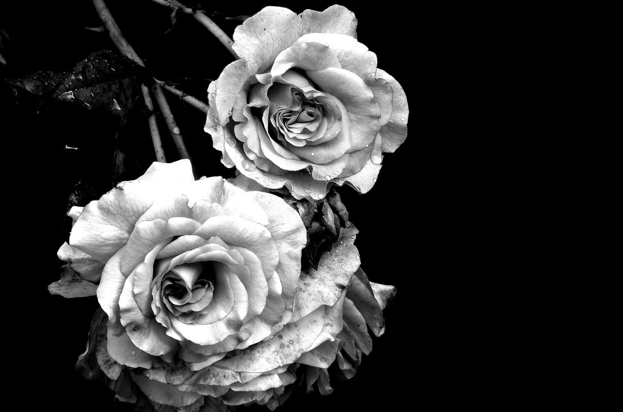 black white memorial flowers